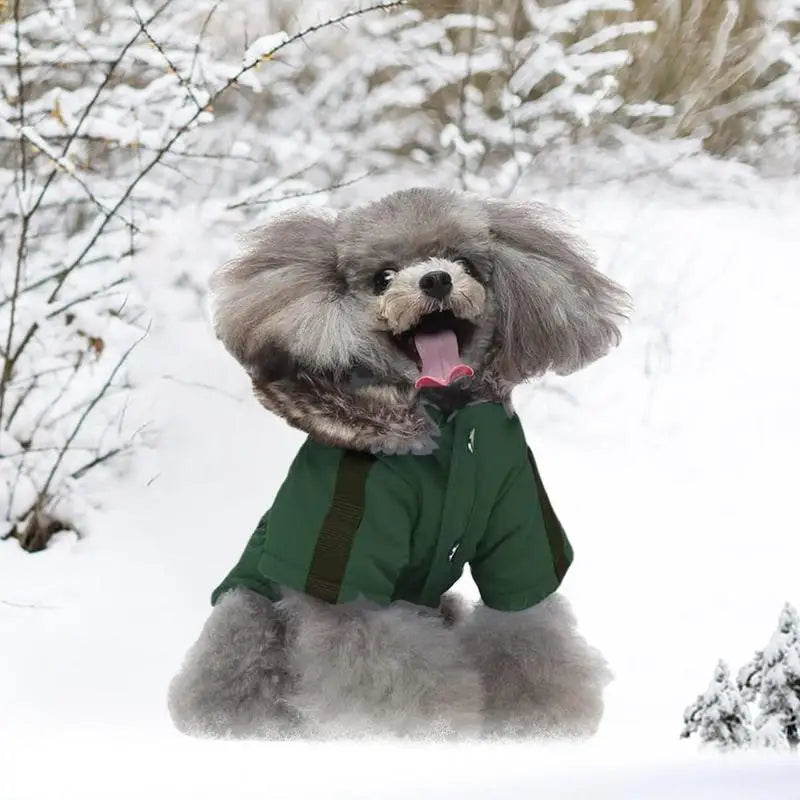 Chaqueta Acolchada con Capucha para Perros Pequeños  Invierno Cálido