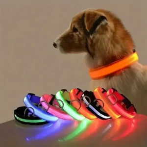 Premium LED Glowing Dog Collar for Night Walking Safety