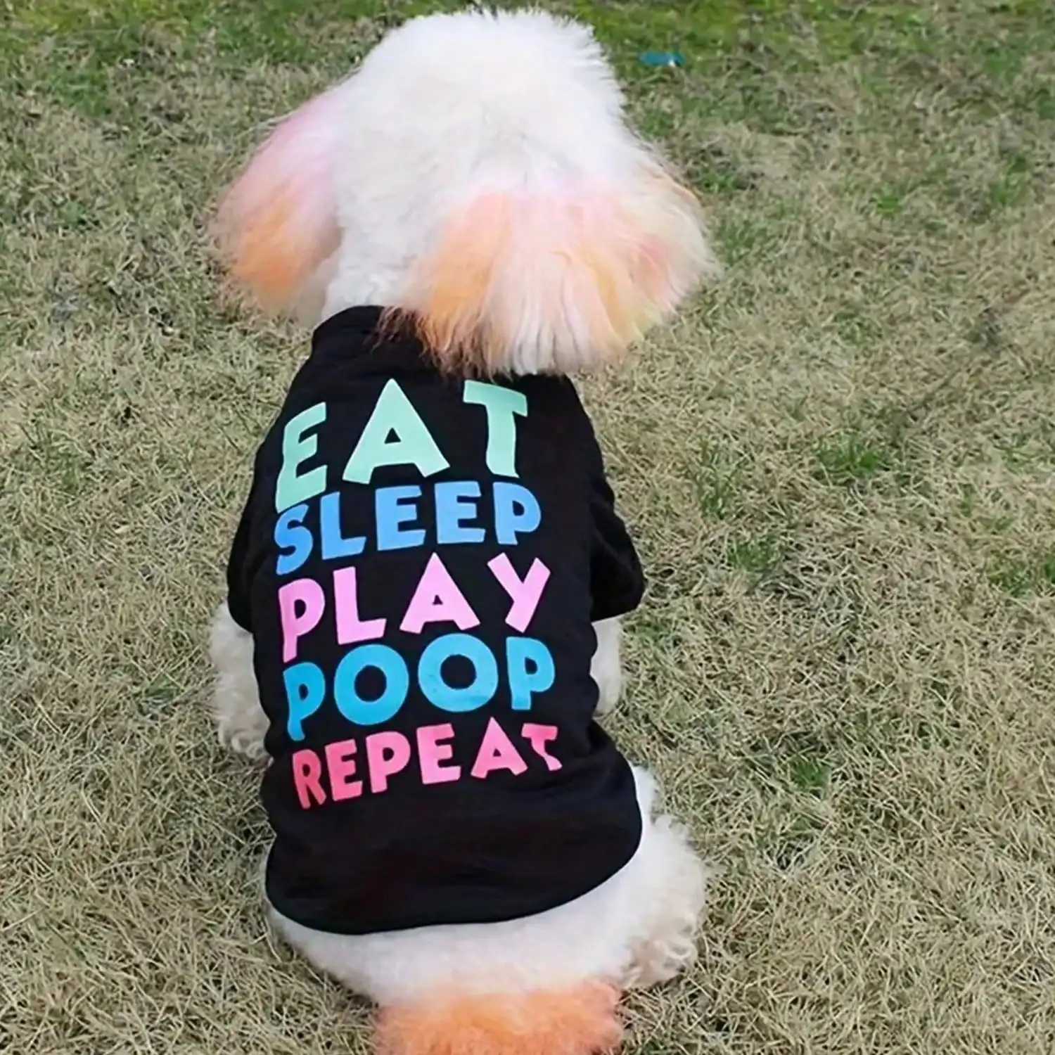 Premium Ultra Stretchy Breathable Printed Pet T-Shirt - Image 4