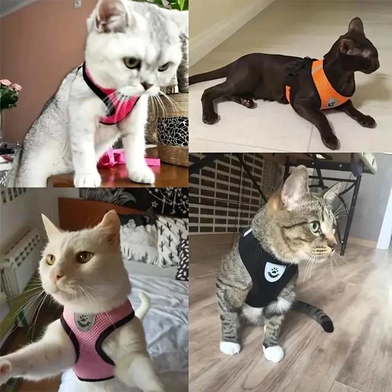 Premium Breathable Air-Mesh Small Dog & Cat Harness with Leash Set - Image 2