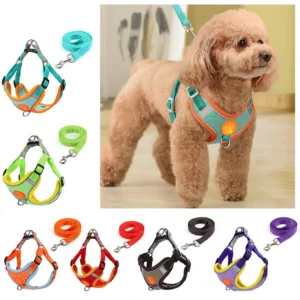 Comfort Fit Breathable Pet Harness Vest with Traction Rope