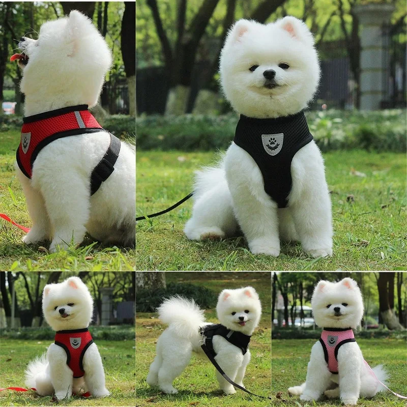 Premium Breathable Air-Mesh Small Dog & Cat Harness with Leash Set - Image 3